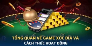 Khám Phá Trò Chơi Xóc Đĩa Tại 789Bet - Bí Quyết Chiến Thắng